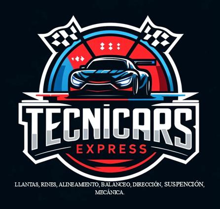 TECNICARS EXPRESS