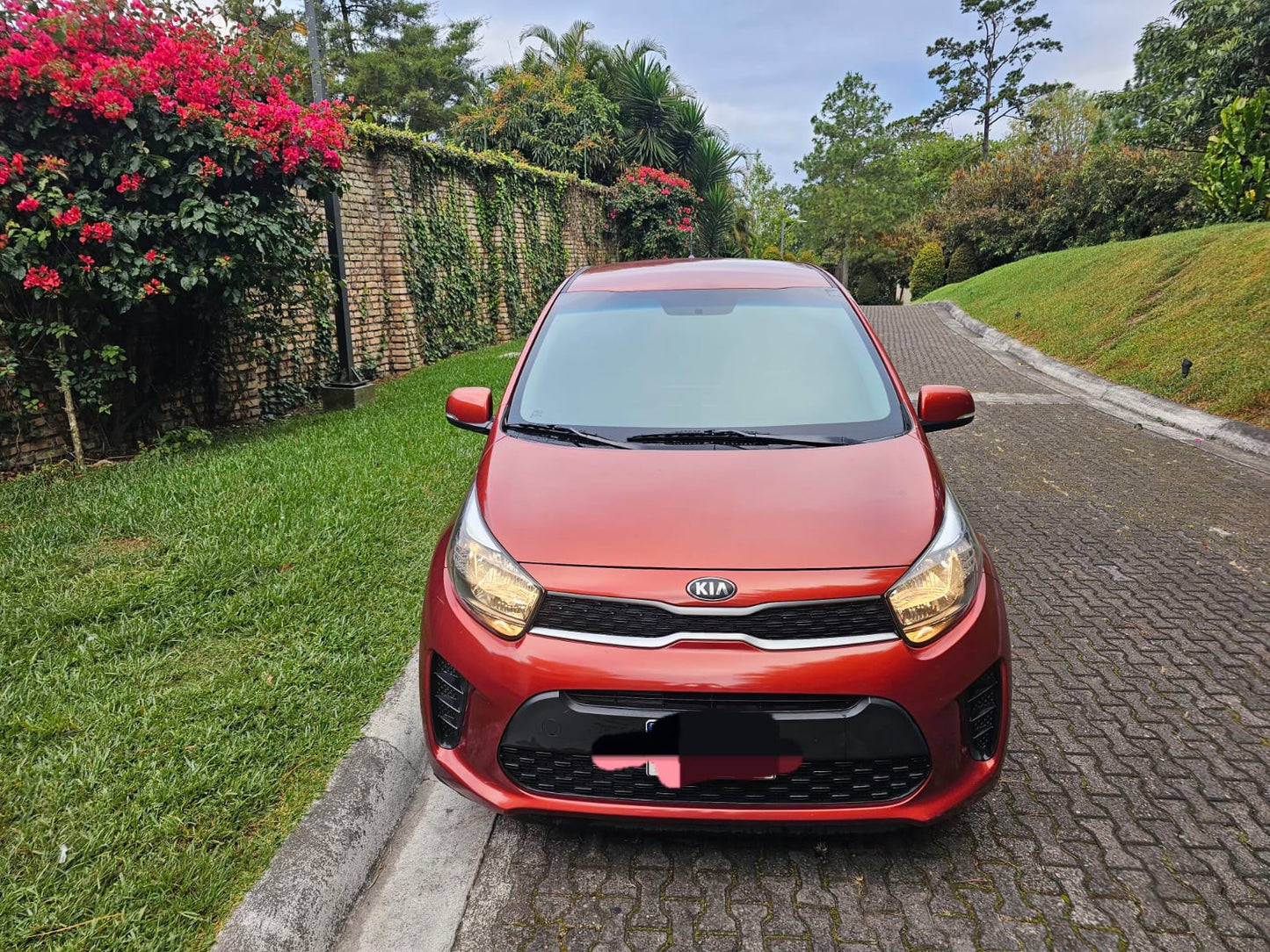 KIA PICANTO 2020