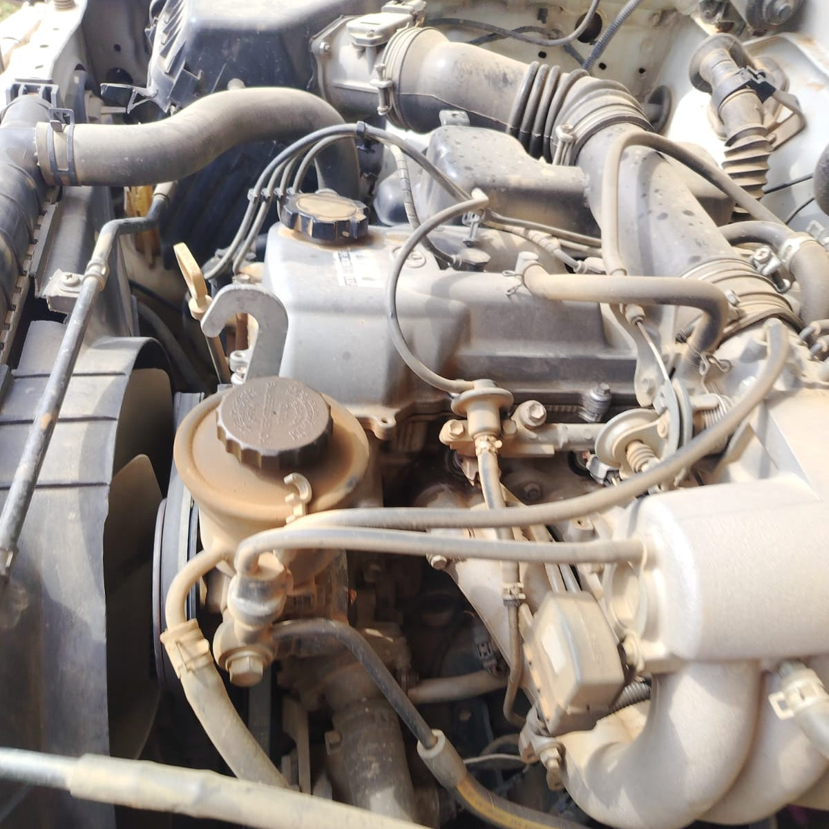 TOYOTA TACOMA 2000