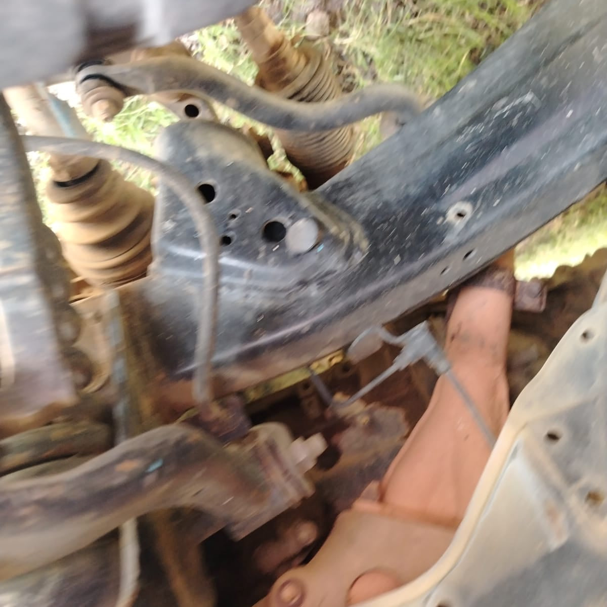 TOYOTA TACOMA 2000