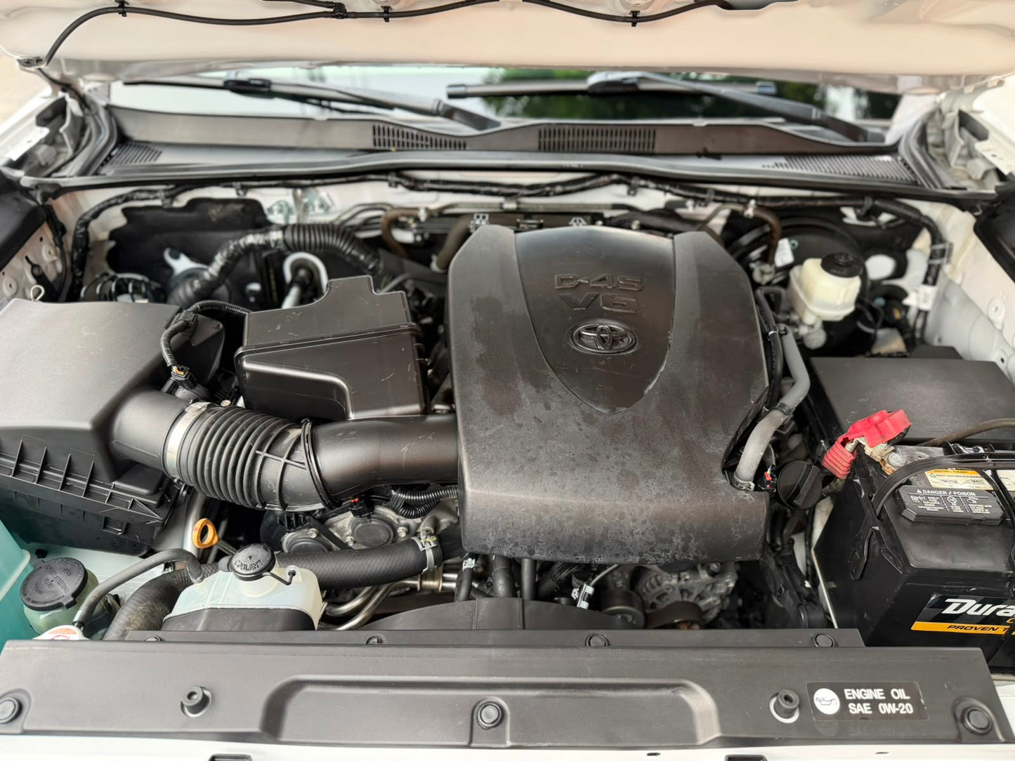 TOYOTA TACOMA 2019