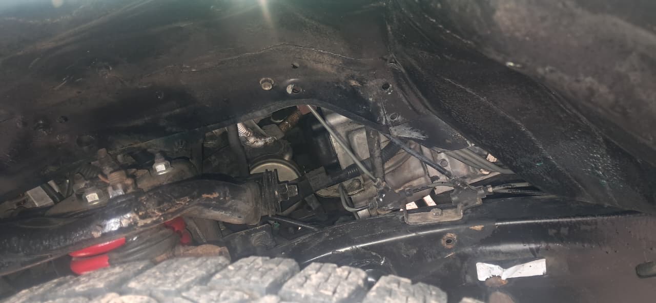 TOYOTA TACOMA 1999
