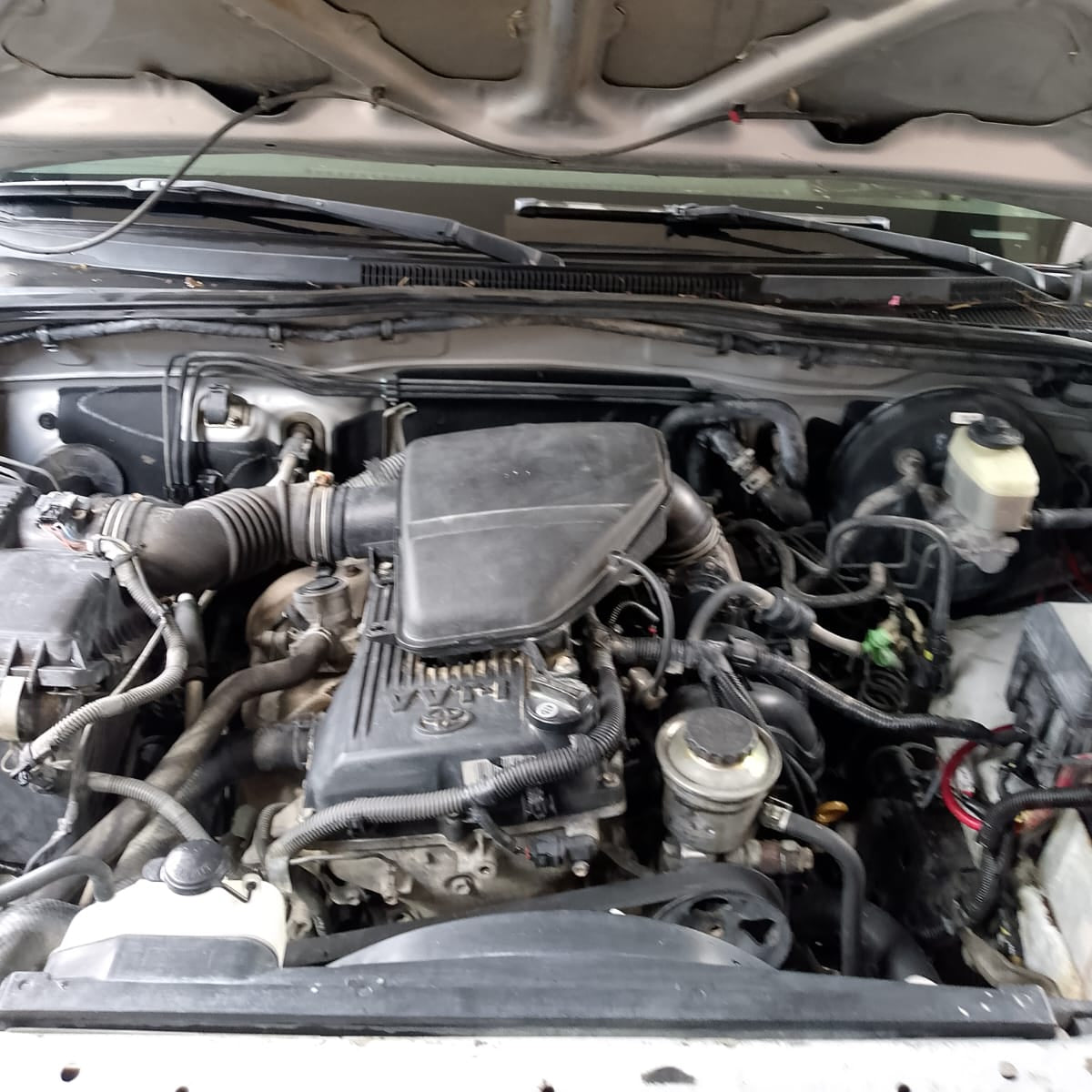 TOYOTA TACOMA 2005